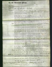 Court of Common Pleas - Elizabeth Matthews-Original Ancestry