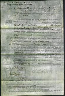 Court of Common Pleas - Isabella Carey-Original Ancestry