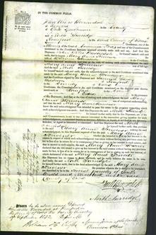 Court of Common Pleas - Mary Ann Scriviner-Original Ancestry