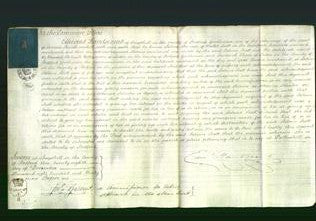 Court of Common Pleas - Salome Scott-Original Ancestry