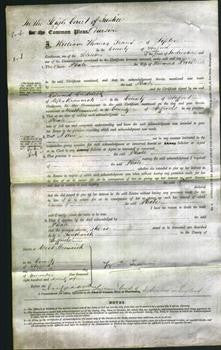 Court of Common Pleas - Phoebe Price-Original Ancestry