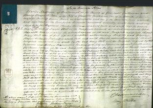 Court of Common Pleas - Mary Hill-Original Ancestry