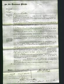 Court of Common Pleas - Isabella Corven-Original Ancestry