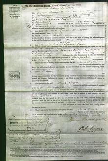 Court of Common Pleas - Anne Boyle-Original Ancestry