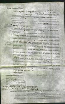 Court of Common Pleas - Betsey Moore-Original Ancestry