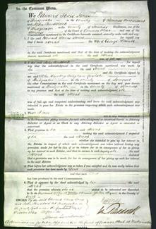 Court of Common Pleas - Sarah Haines-Original Ancestry