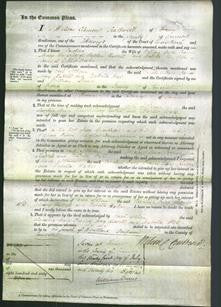 Court of Common Pleas - Caroline Bruce, Frances Mary Russell and Isabella Wake-Original Ancestry