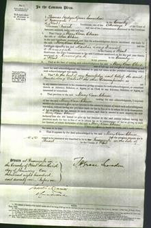 Court of Common Pleas - Mary Ann Chase-Original Ancestry