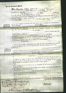 Court of Common Pleas - Ellen Tuke-Original Ancestry