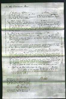 Court of Common Pleas - Alice Newsome-Original Ancestry