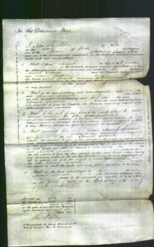 Court of Common Pleas - Hannah Croisdale-Original Ancestry