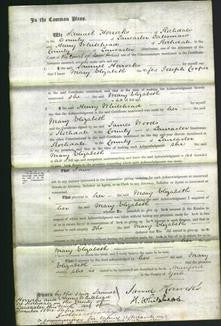 Court of Common Pleas - Mary Elizabeth Cooper-Original Ancestry