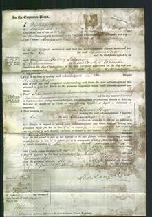 Court of Common Pleas - Louisa Higgs-Original Ancestry