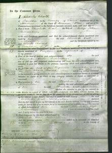 Court of Common Pleas - Charlotte Wall Richardson-Original Ancestry