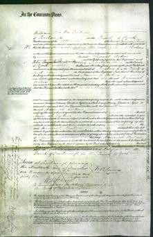Court of Common Pleas - Hannah Askew-Original Ancestry