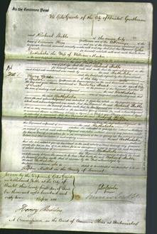 Court of Common Pleas - Bathsheba Martin-Original Ancestry