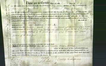 Deed by Married Women - Arabella Philippa Hotchkys-Original Ancestry