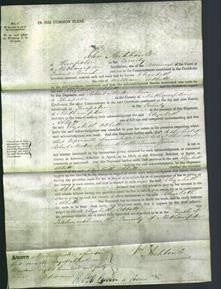 Court of Common Pleas - Elizabeth Abbott-Original Ancestry