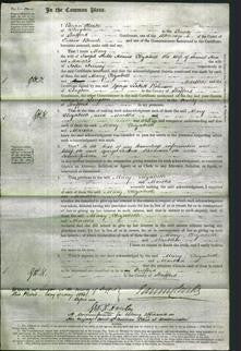 Court of Common Pleas - Mary Adams, Elizabeth Hare and Martha Finney-Original Ancestry