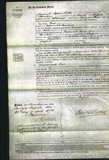 Court of Common Pleas - Jane Harding-Original Ancestry