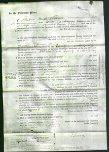 Court of Common Pleas - Mary Elizabeth Turner-Original Ancestry