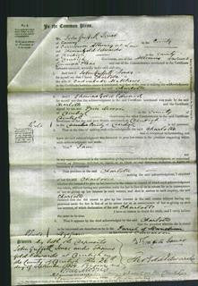Court of Common Pleas - Charlotte Matthews-Original Ancestry