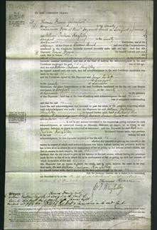 Court of Common Pleas - Eleanor Jones-Original Ancestry