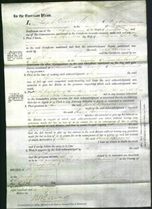 Court of Common Pleas - Sarah Barwis Banks-Original Ancestry