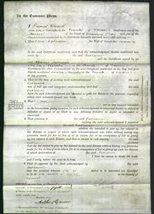 Court of Common Pleas - Catharine Twamley-Original Ancestry