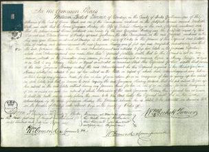 Court of Common Pleas - Georgiana Heading-Original Ancestry
