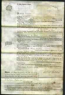 Court of Common Pleas - Anna Maria Sawyer-Original Ancestry