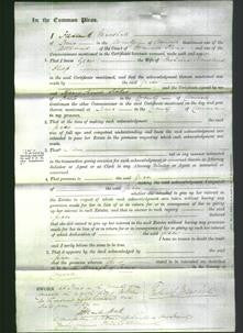 Court of Common Pleas - Grace Philp-Original Ancestry