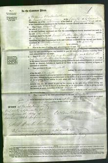 Court of Common Pleas - Elizabeth Trenfield-Original Ancestry