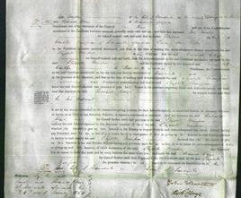 Court of Common Pleas - Elizabeth Thompson-Original Ancestry