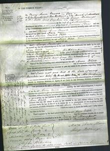 Court of Common Pleas - Ann Webb-Original Ancestry