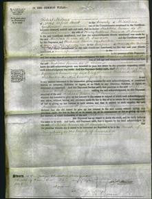 Court of Common Pleas - Matilda Susan De St. Sauveur-Original Ancestry