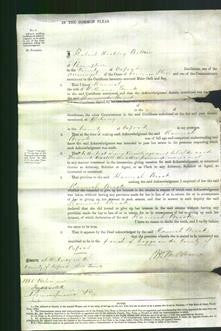 Court of Common Pleas - Hannah Brook-Original Ancestry