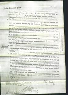 Court of Common Pleas - Maria Mellor-Original Ancestry