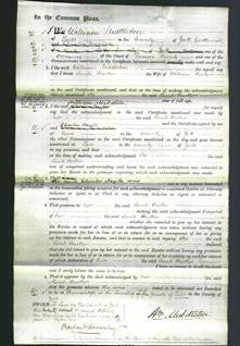 Court of Common Pleas - Sarah Barker-Original Ancestry