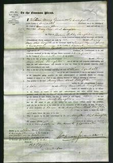 Court of Common Pleas - Mary Ann Nash Troughton-Original Ancestry
