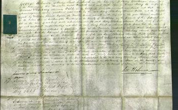 Court of Common Pleas - Mary Blackney-Field-Original Ancestry