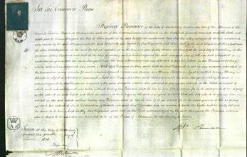 Court of Common Pleas - Margaret Castle-Original Ancestry