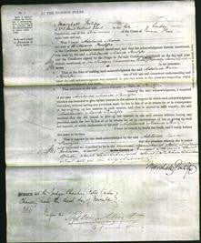 Court of Common Pleas - Adelaide Maria Pontifex-Original Ancestry