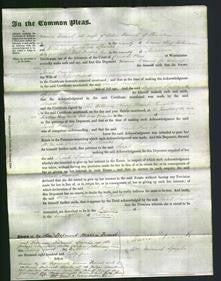 Court of Common Pleas - Sarah French-Original Ancestry