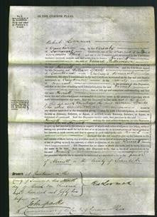 Court of Common Pleas - Harriett Pattemore-Original Ancestry