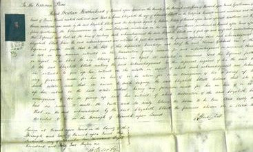 Court of Common Pleas - Elizabeth Elliott