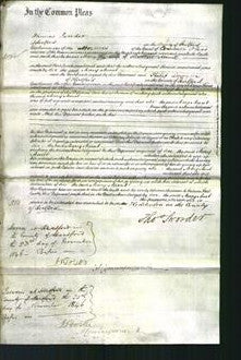 Court of Common Pleas - Mary Munt-Original Ancestry