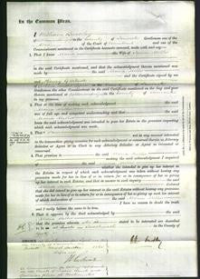 Court of Common Pleas - Maria Mellor-Original Ancestry