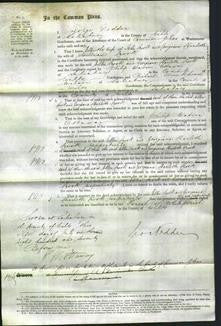 Court of Common Pleas - Ellen Crook and Georgiana Charlotte Crook-Original Ancestry