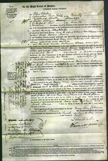 Court of Common Pleas - Mary Ann Collison, Sarah Mann-Original Ancestry